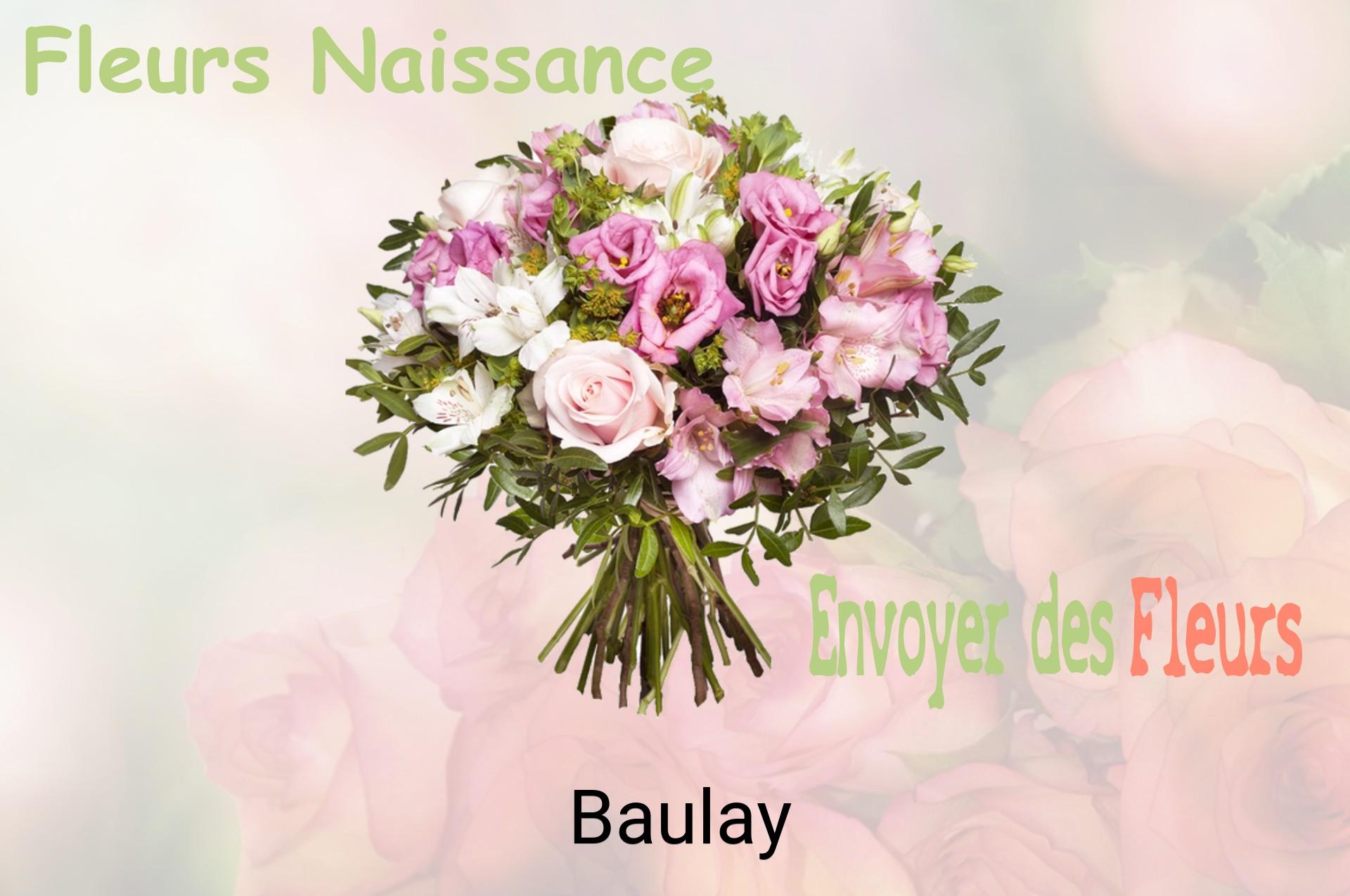 Bouquet de fleurs de naissance livré à Baulay